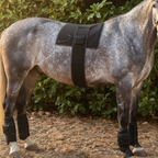 Horse Red Light Therapy Maxi Wrap