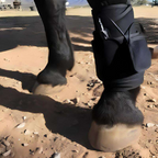 Horse Red Light Therapy Slim Wrap